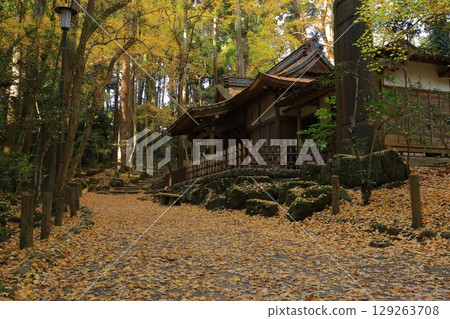 秋天天空和秋葉 129263708