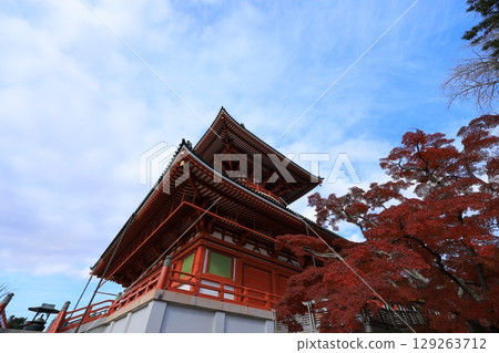 秋天天空和秋葉 秋天天空和秋葉 129263712