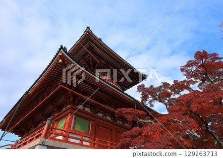 秋天天空和秋葉 秋天天空和秋葉 129263713