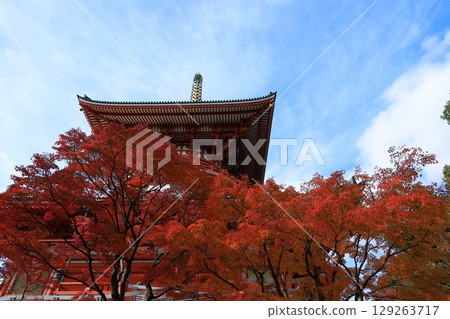 秋天天空和秋葉 129263717