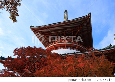 秋天天空和秋葉 秋天天空和秋葉 129263718