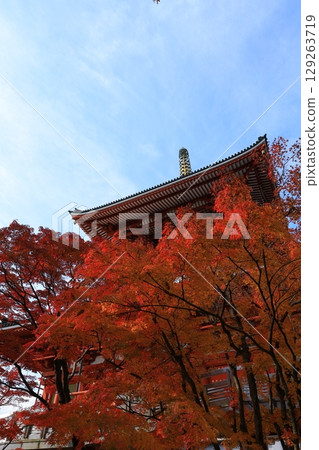 秋天天空和秋葉 秋天天空和秋葉 129263719