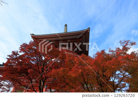秋天天空和秋葉 秋天天空和秋葉 129263720