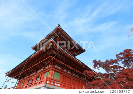 秋天天空和秋葉 129263727