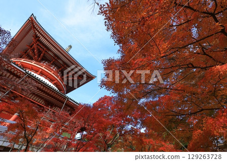Autumn sky and autumn leaves Autumn sky and autumn leaves 129263728