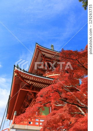 Autumn sky and autumn leaves 129263735