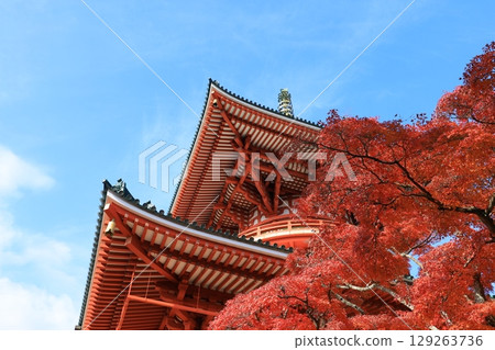 Autumn sky and autumn leaves Autumn sky and autumn leaves 129263736