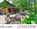 A courtyard shop surrounded by greenery and filled with sunlight (Gunma Prefecture) 129263990