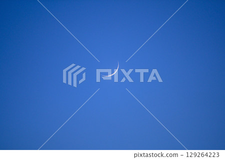 Crescent Moon  129264223