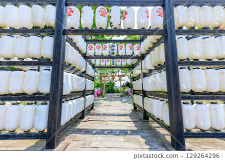 Mitsuhashira Shrine in early summer, Yanagawa City, Fukuoka Prefecture 129264296