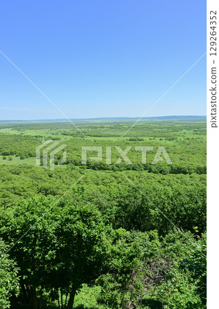 Kushiro Marsh from the satellite observation deck 129264352