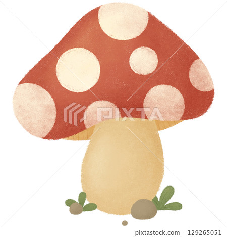 Mushroom  129265051