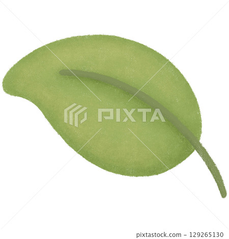 Green leaf 129265130