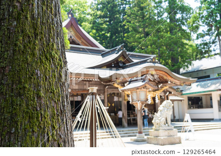 樹木環繞的白山比咲神社參道鳥居｜能量景點｜石川縣白山市 129265464