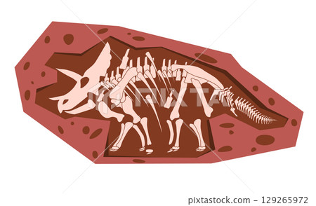 illustration Triceratops fossil large horned herbivorous dinosaur embedded in deep rock formation dig site skeletal remains massive frilled skull and three horns 129265972