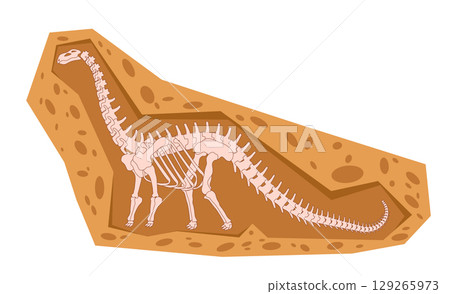 long necked sauropod dinosaur fossil large herbivore in a brown rock formation standing with the long neck and tail ancient creatures long necked sauropod dinosaur fossil large herbivore in a brown rock formation standing with the long neck and tail ancient creatures 129265973