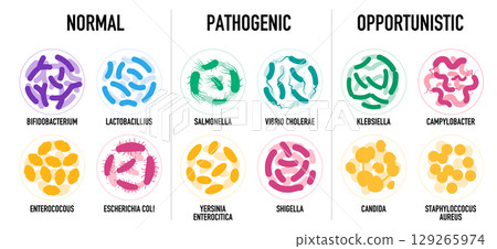 Normal pathogenic and opportunistic bacteria and microbes including examples like Salmonella Klebsiella and Bifidobacterium Normal pathogenic and opportunistic bacteria and microbes including examples like Salmonella Klebsiella and Bifidobacterium 129265974