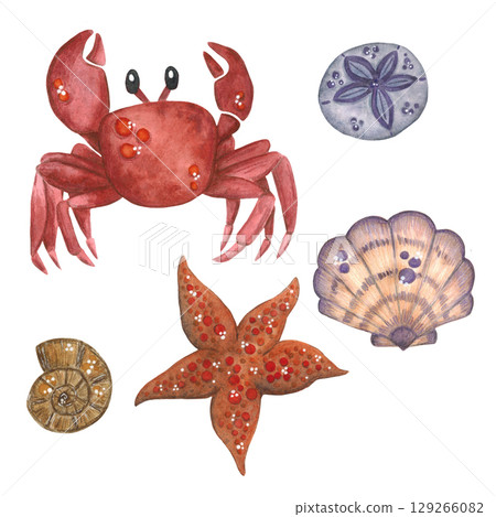 Set of sea animals: crab, starfish and shellfish. Watercolor illustration hand drawn, cartoon. Drawing for stickers, cards, print, scrapbooking. fishing, ocean, nature Set of sea animals: crab, starfish and shellfish. Watercolor illustration hand drawn, cartoon. Drawing for stickers, cards, print, scrapbooking. fishing, ocean, nature 129266082