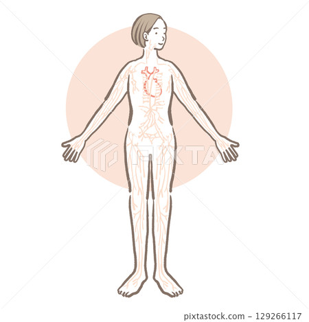 女性身體和淋巴圖像的插圖 女性身體和淋巴圖像的插圖 129266117