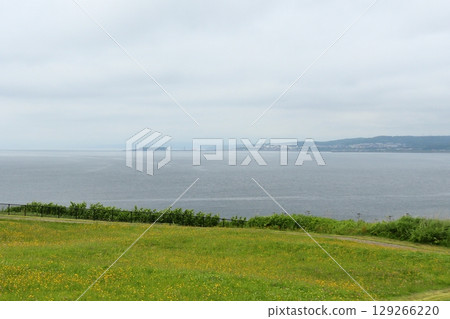 從上國町眺望江差市的龜島(北海道上國町) 從上國町眺望江差市的龜島(北海道上國町) 129266220