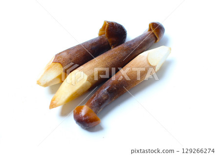 Termite mushrooms with long stems, white tips, and dark brown caps. 129266274