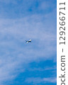 飛機翱翔在廣闊的藍天 129266711
