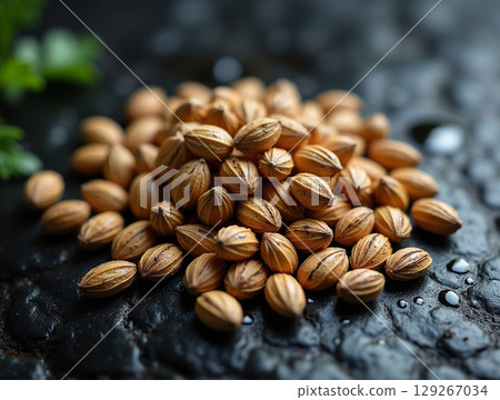 Macro of Dry Coriander Seeds with Cracked Texture on a Moist Black Stone Macro of Dry Coriander Seeds with Cracked Texture on a Moist Black Stone 129267034