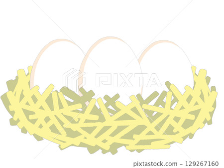 簡單的鳥巢和白蛋插畫 129267160