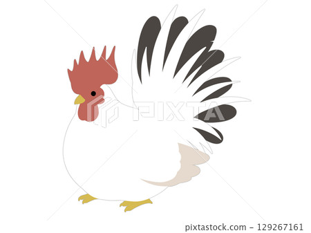 Simple black and white chicken illustration 129267161