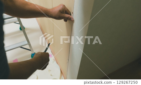 Partition renovation 129267250