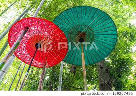 Red and green Japanese umbrellas in a bamboo forest Red and green Japanese umbrellas in a bamboo forest 129267456