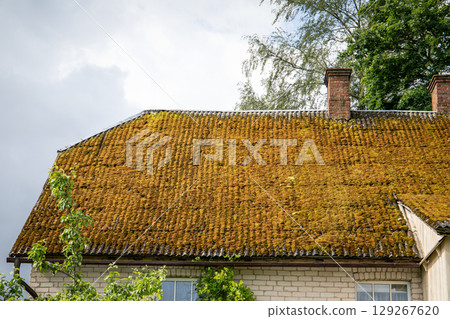 Old Roof Covered with Moss Indicating Age, Neglect, and Natural Overgrowth in Humid Climate Old Roof Covered with Moss Indicating Age, Neglect, and Natural Overgrowth in Humid Climate 129267620
