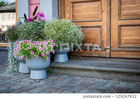 Colorful Flower Pots in Front of Vintage Wooden Door Colorful Flower Pots in Front of Vintage Wooden Door 129267632
