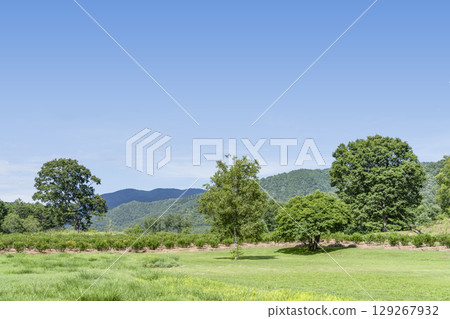 夏季的開田高原(木曾馬村) 夏季的開田高原(木曾馬村) 129267932