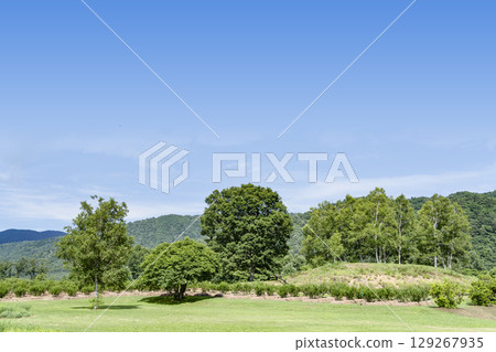 夏季的開田高原(木曾馬村) 夏季的開田高原(木曾馬村) 129267935