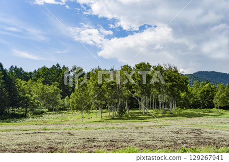 夏季的開田高原(木曾馬村) 夏季的開田高原(木曾馬村) 129267941