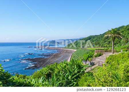 Miyazaki Prefecture Nichinan Coast: Oni no Sentakuita (Devil's Washboard) as seen from Phoenix Roadside Station Miyazaki Prefecture Nichinan Coast: Oni no Sentakuita (Devil's Washboard) as seen from Phoenix Roadside Station 129268123