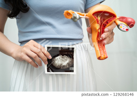 Uterus ultrasound, Asian woman holding human anatomy model. Uterus ultrasound, Asian woman holding human anatomy model. 129268146