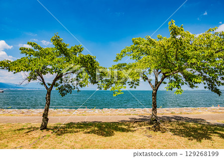 滋賀縣大津市琵琶湖渚公園的夏日風景 滋賀縣大津市琵琶湖渚公園的夏日風景 129268199