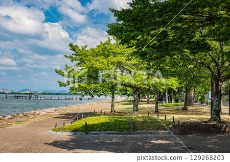 Summer scenery at Lake Biwa Nagisa Park, Otsu City, Shiga Prefecture 129268203