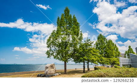 Summer scenery at Lake Biwa Nagisa Park, Otsu City, Shiga Prefecture Summer scenery at Lake Biwa Nagisa Park, Otsu City, Shiga Prefecture 129268210
