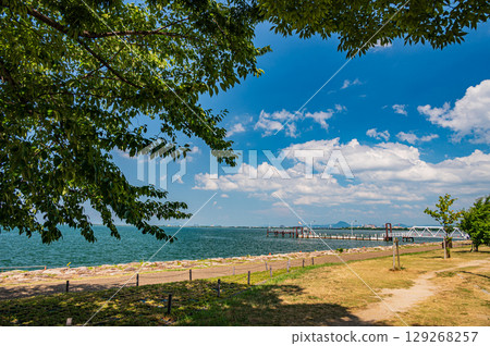 滋賀縣大津市琵琶湖渚公園的夏日風景 129268257
