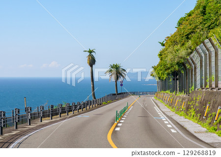 Nichinan Coast as seen from Horikiri Pass in Miyazaki Prefecture 129268819
