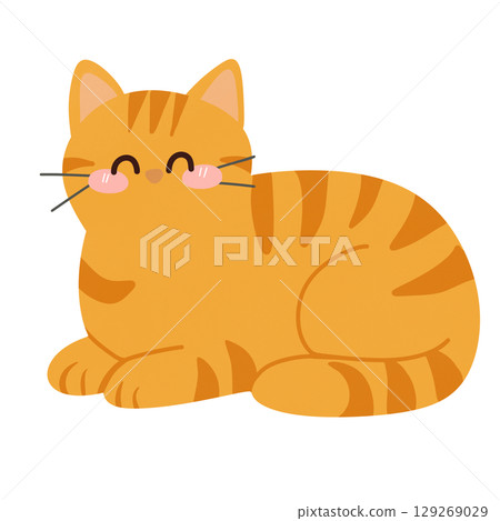Cute cat 129269029