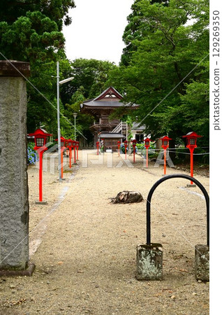 音羽山清水寺的繡球花盛開 129269350