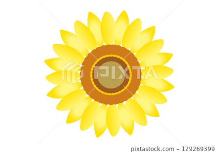 向日葵插圖12 129269399