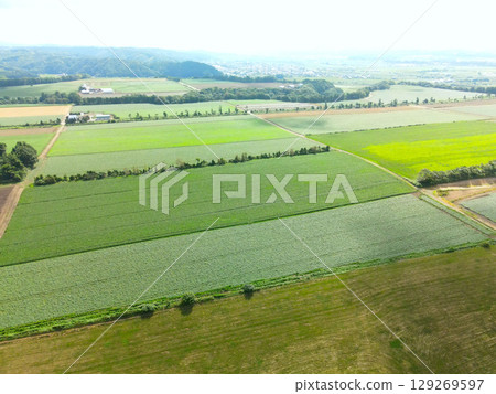 Aerial view of the rural landscape in Imakane Town, Hokkaido in summer Aerial view of the rural landscape in Imakane Town, Hokkaido in summer 129269597