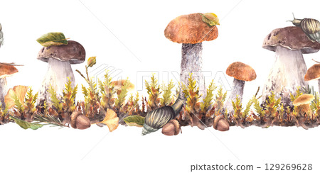 Snail on cap of porcini and boletus mushroom with forest moos seamless border. Watercolor nature scene with slug, fungi and autumn leaves. Watercolor hand drawn illustration isolated from background 129269628