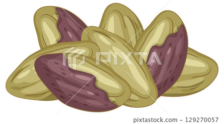 Vector Illustration of Shelled Pistachio Nuts Cluster 129270057