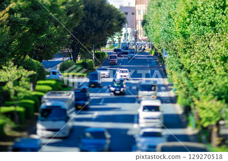 Miniature-style traffic on Hakusan Street - Road with roadside trees [Traffic image] 129270518